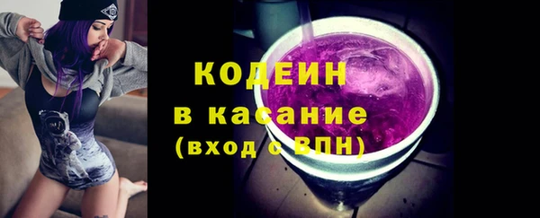 крисы Богородицк