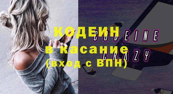 крисы Богородицк