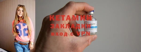 крисы Богородицк