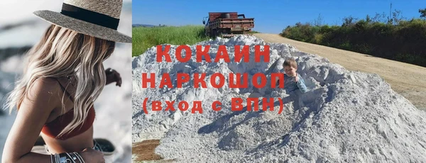 крисы Богородицк