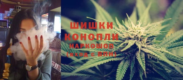 крисы Богородицк