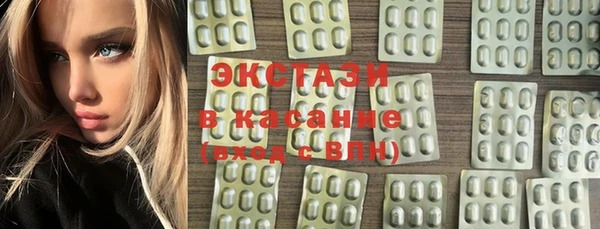 крисы Богородицк