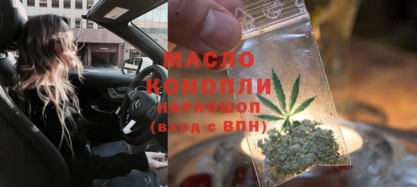 крисы Богородицк