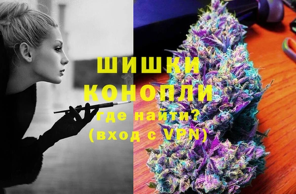 крисы Богородицк